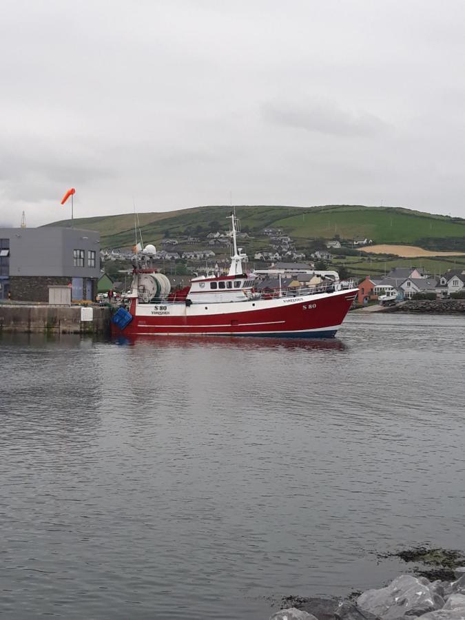 Dingle Wheelhouse Apartment Exterior photo